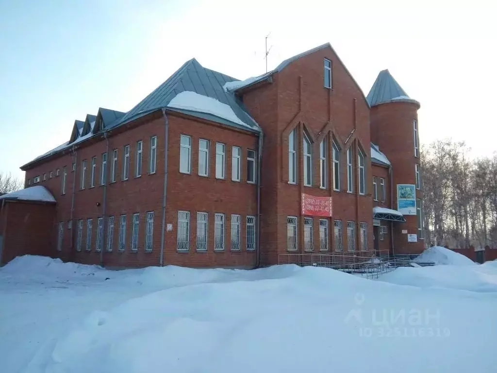 Помещение свободного назначения в Омская область, с. Азово пер. ... - Фото 1