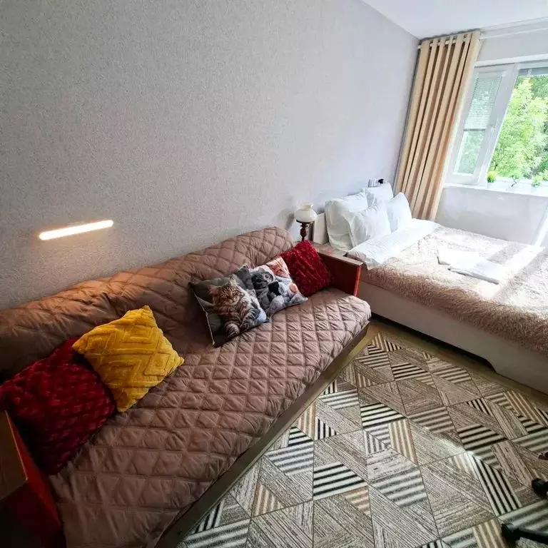 3-к кв. Московская область, Дмитров ул. Космонавтов, 21 (58.0 м) - Фото 2