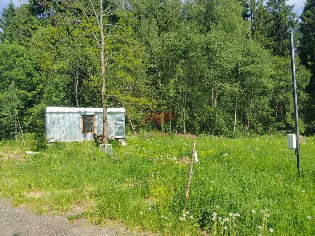 Участок в Московская область, Клин городской округ, д. Денисово  (8.0 ... - Фото 1