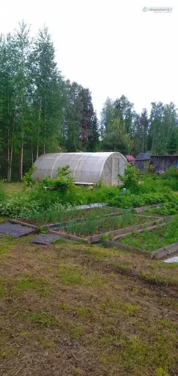 Участок в Медянское сельское поселение, СДТ Урожай-4 (10.7 м) - Фото 0