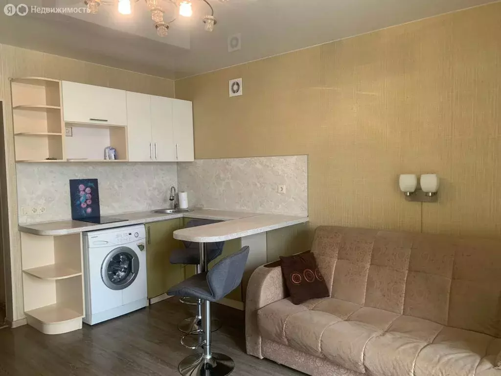 Квартира-студия: село Чигири, Центральная улица, 34 (21 м) - Фото 2