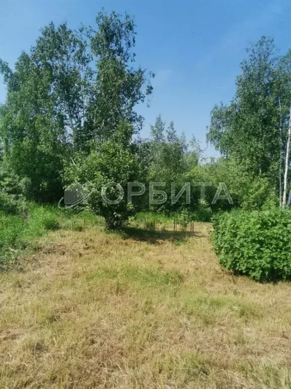 Участок в Тюменская область, Тюменский муниципальный округ, пос. ... - Фото 1