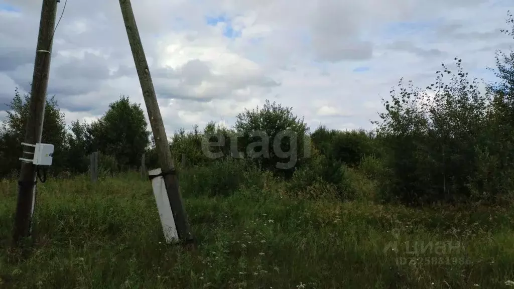 Участок в Свердловская область, Тугулымский муниципальный округ, с. ... - Фото 2