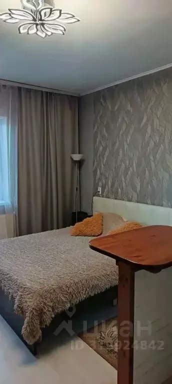 1-к кв. Ленинградская область, Кингисепп ул. Воровского, 50к2 (20.0 м) - Фото 2