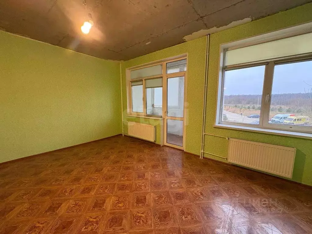 Студия Калужская область, Совхоз Боровский с/пос, д. Кабицыно, ... - Фото 1