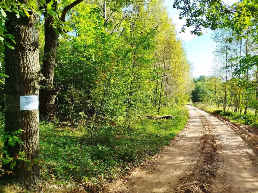 Дом в Московская область, Ступино городской округ, Бриз СНП 9 (100 м) - Фото 2