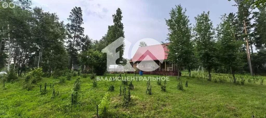 Участок в Барышевский сельсовет, садоводческое некоммерческое ... - Фото 1