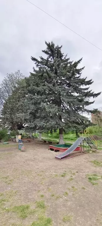 1-к. квартира, 31 м, 4/5 эт. - Фото 1