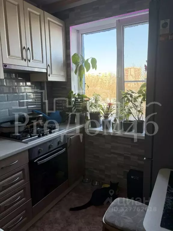 2-к кв. Курская область, Курск Магистральный проезд, 7А (44.3 м) - Фото 1