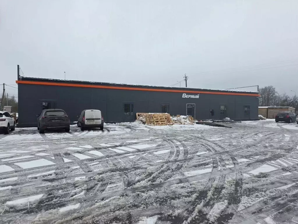 Торговая площадь в Ленинградская область, Любань Тосненский район, ... - Фото 1