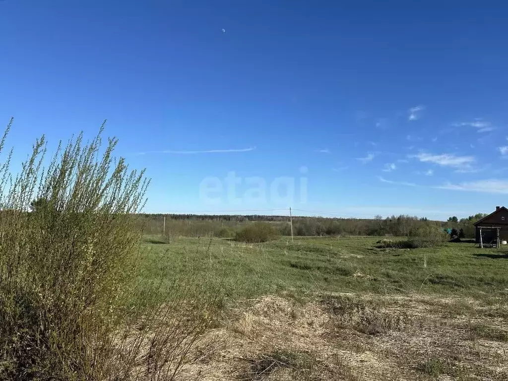 Участок в Вологодская область, д. Калинкино (Майское сельское ... - Фото 1