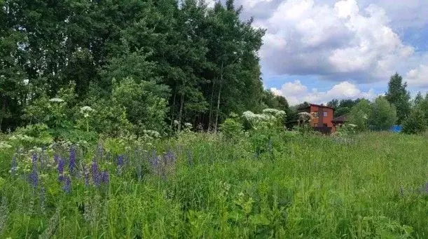 Участок в Московская область, Домодедово городской округ, с. ... - Фото 1