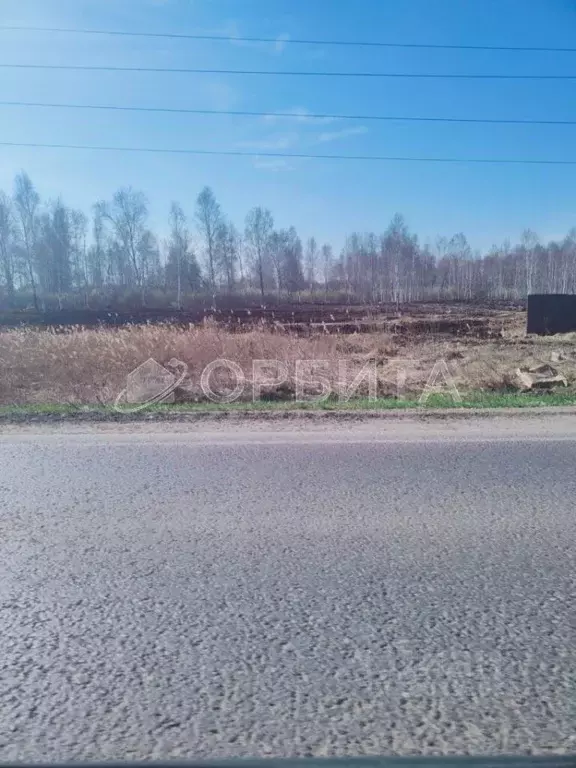 Участок в Тюменская область, Тюмень Велижанский тракт, 9-й км (160.0 ... - Фото 1