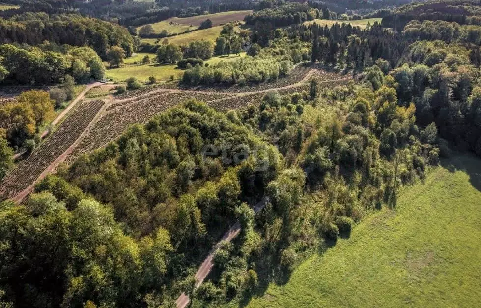 Участок в Пермский край, Пермский муниципальный округ, Башкултаевский ... - Фото 2