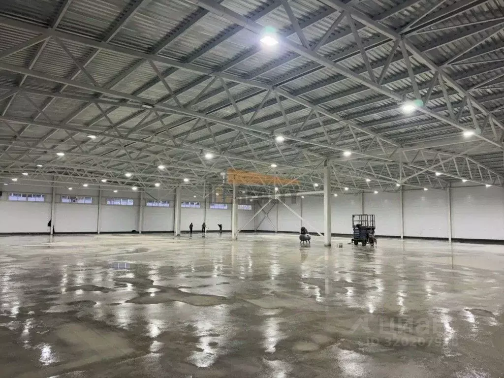 Склад в Московская область, Богородский городской округ, Юбилейное СНТ ... - Фото 2