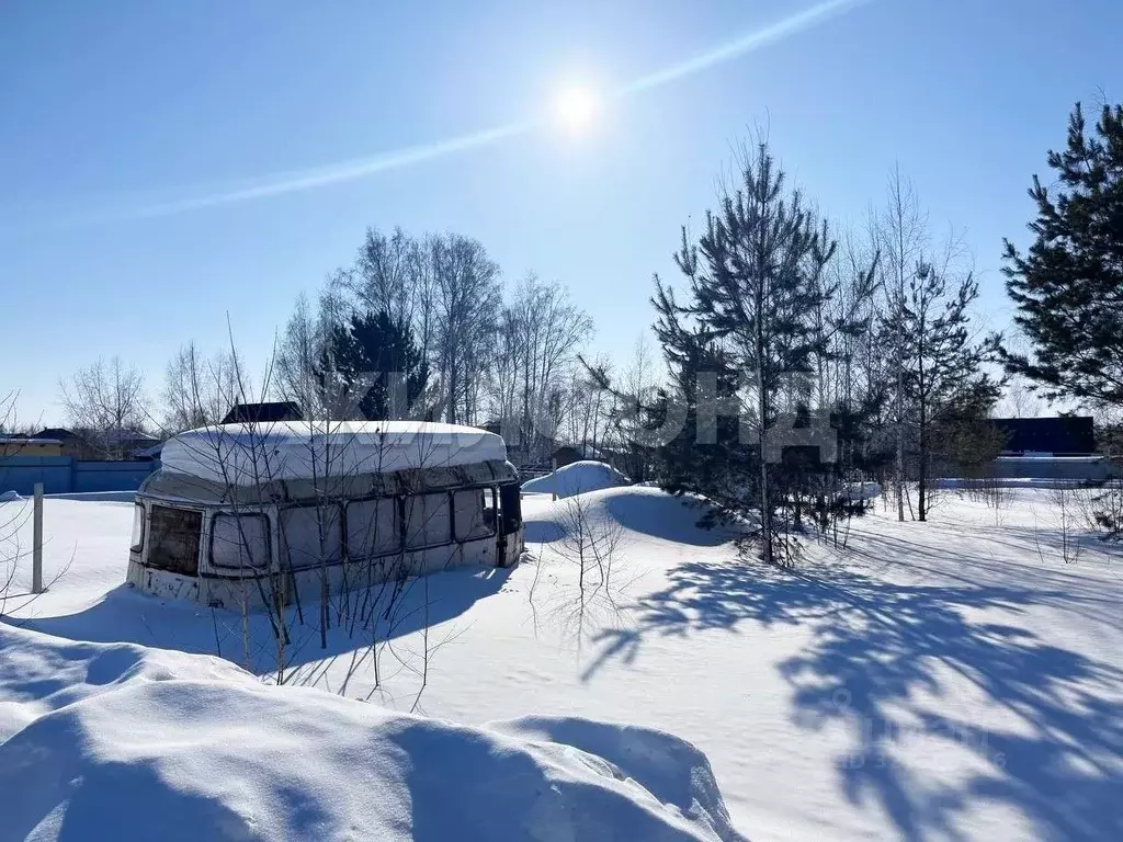 Участок в Новосибирская область, Коченевский район, Витязь садовое ... - Фото 2