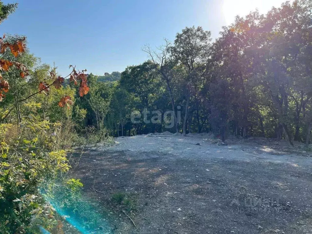 Участок в Краснодарский край, Новороссийск ул. Вербная (4.0 сот.) - Фото 0