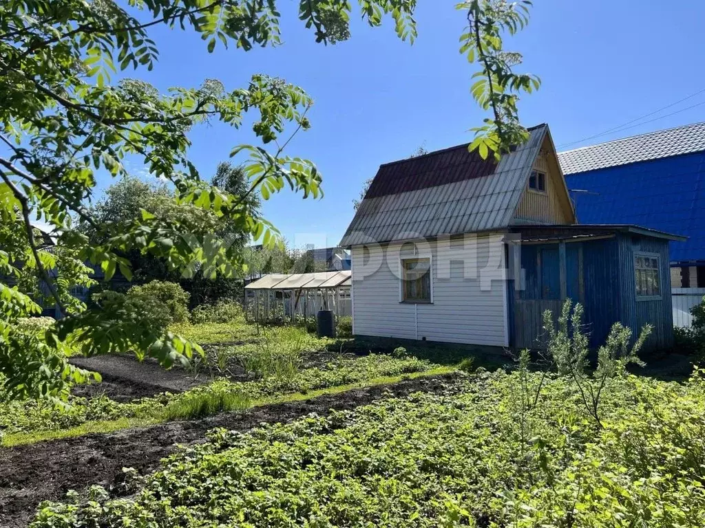 Участок в Новосибирская область, Новосибирский район, Верх-Тулинский ... - Фото 0
