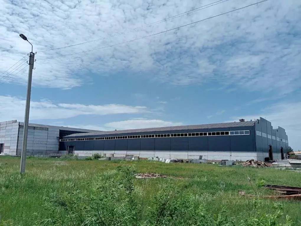 Производственное помещение в Татарстан, Елабуга муниципальное ... - Фото 1