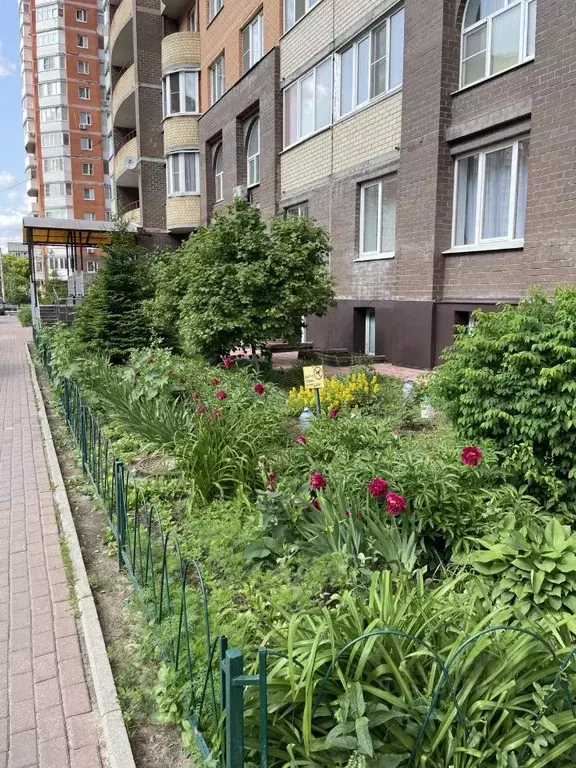 1-к кв. Московская область, Люберцы городской округ, Октябрьский пгт ... - Фото 2