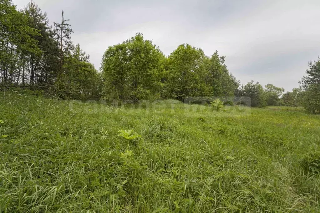 Участок в Московская область, Наро-Фоминский городской округ, д. ... - Фото 1