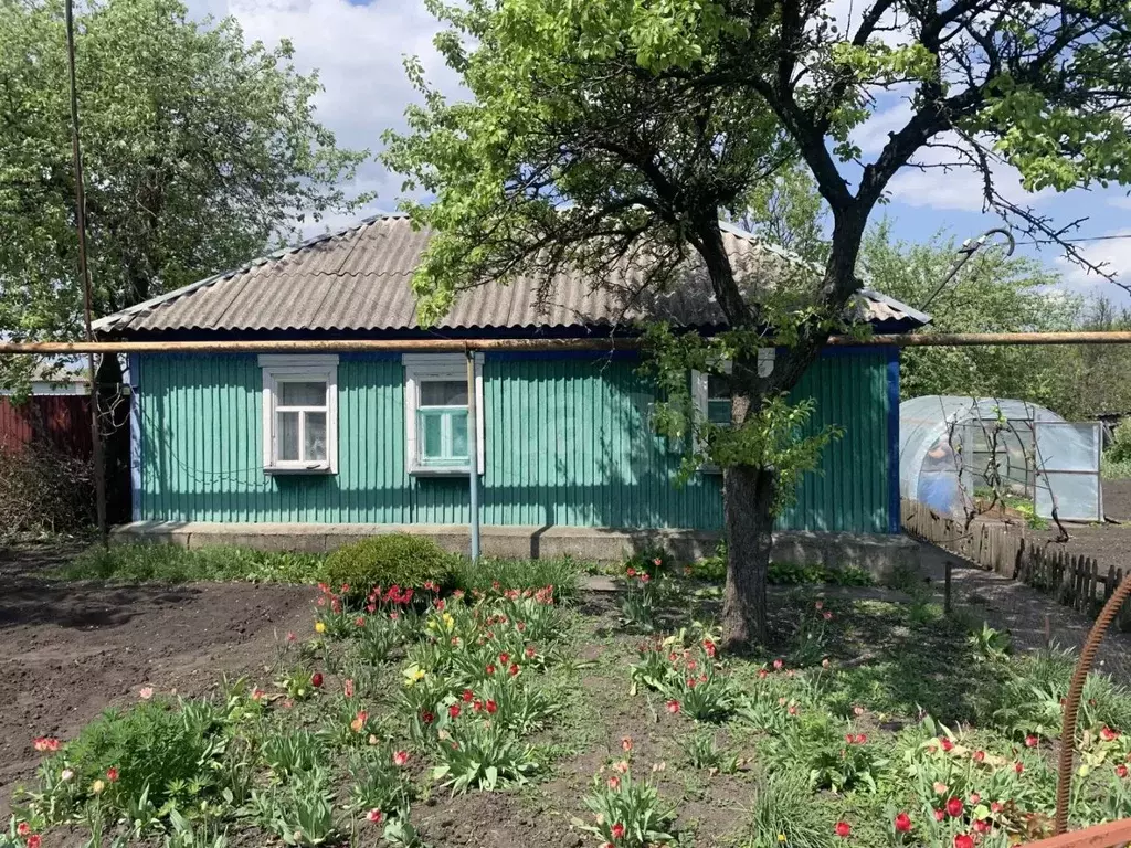 Дом в Белгородская область, Губкин Солнечная ул., 6 (28 м) - Фото 1