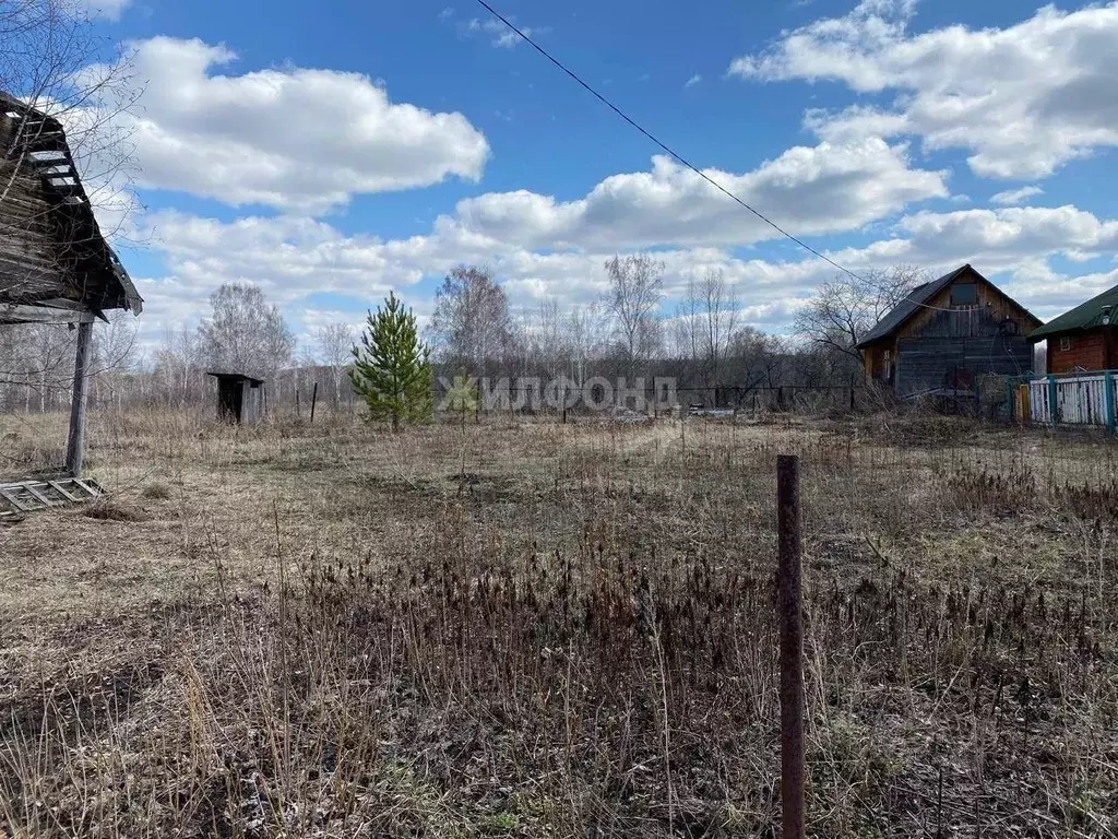 Участок в Новосибирская область, Тогучинский район, Театрал-2 садовое ... - Фото 1