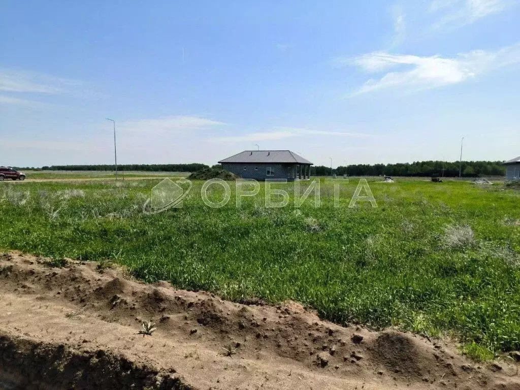 Участок в Тюменская область, Тюменский район, Новокаменский кп ул. ... - Фото 0