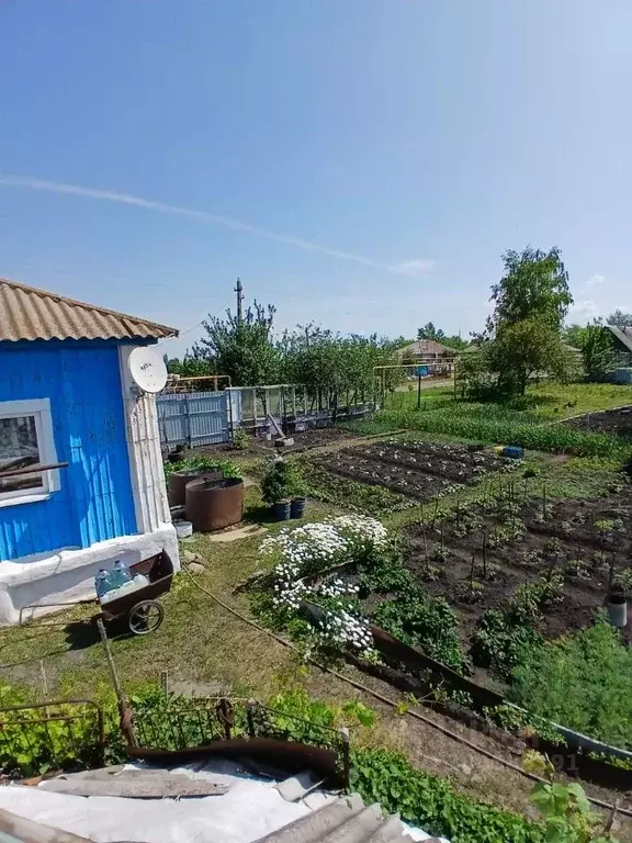 Дом в Воронежская область, Репьевский район, Истобинское с/пос, с. ... - Фото 1