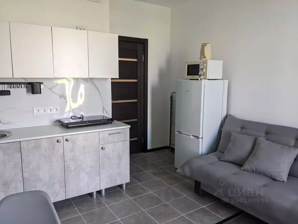 Студия Ленинградская область, Всеволожский район, пос. Бугры ул. ... - Фото 1