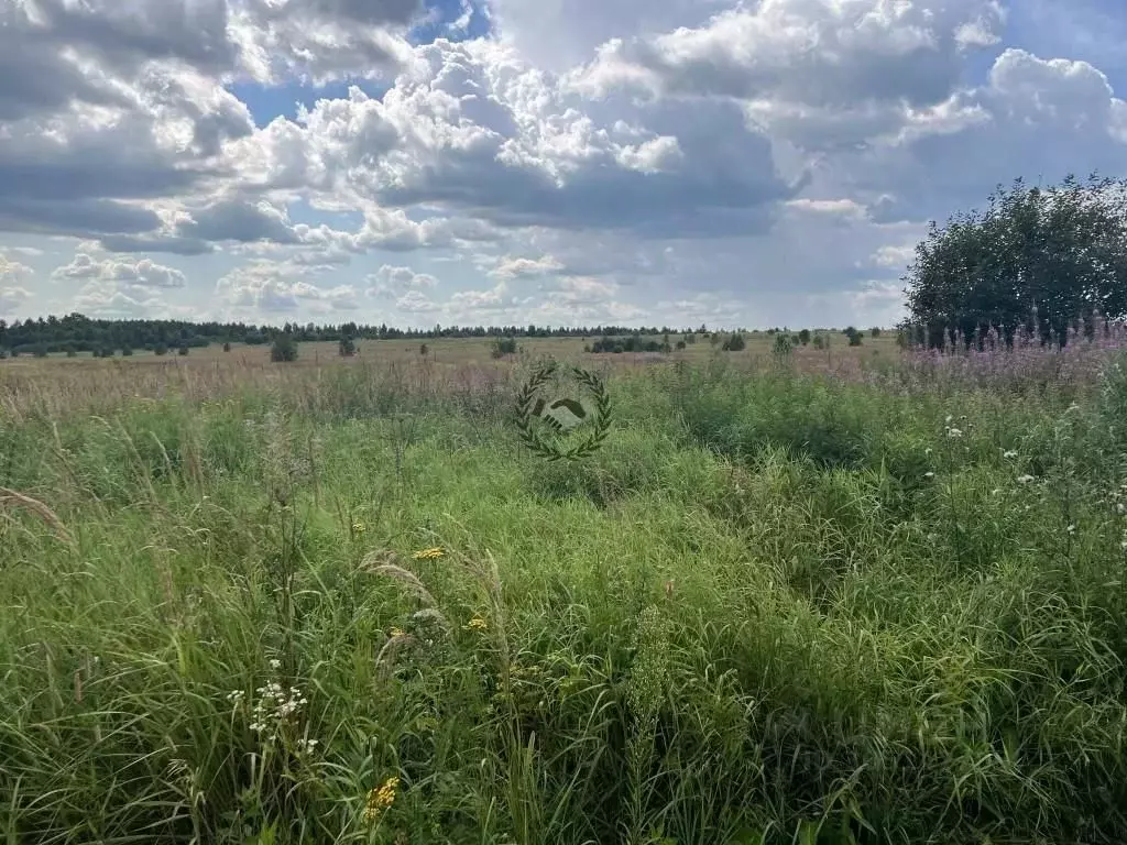 Участок в Калужская область, Дзержинский район, Дворцы с/пос, д. ... - Фото 2