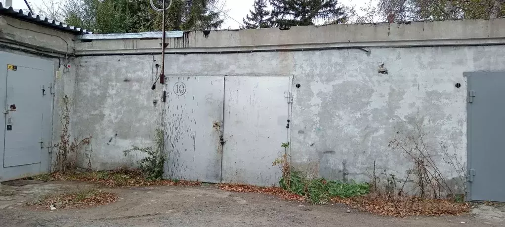 Помещение свободного назначения в Омская область, Омск просп. Мира, 39 ... - Фото 2