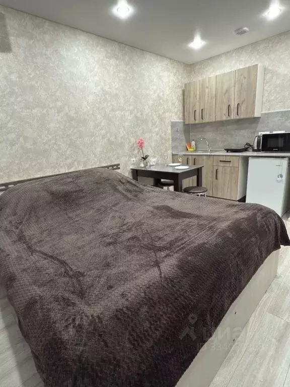 Студия Башкортостан, Уфа ул. Маршала Жукова, 5 (24.0 м) - Фото 2