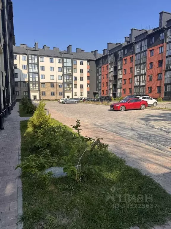 2-к кв. Калининградская область, Пионерский ул. Прибрежная, 21к1 (46.7 ... - Фото 2