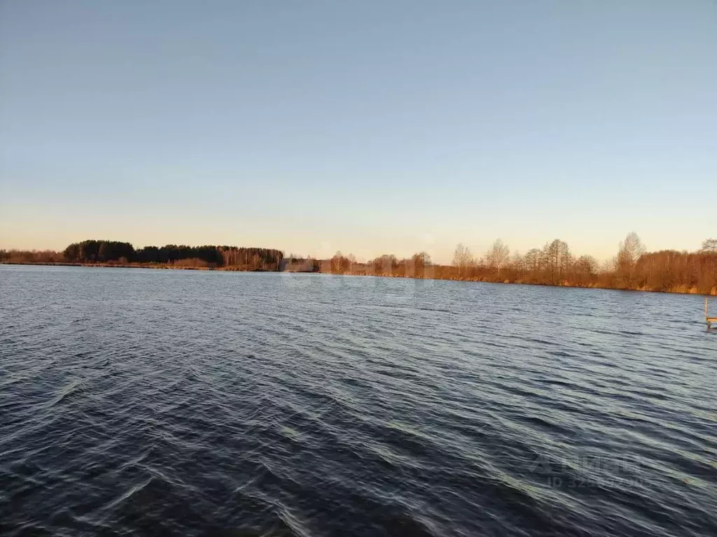 Участок в Нижегородская область, Городецкий муниципальный округ, д. ... - Фото 1