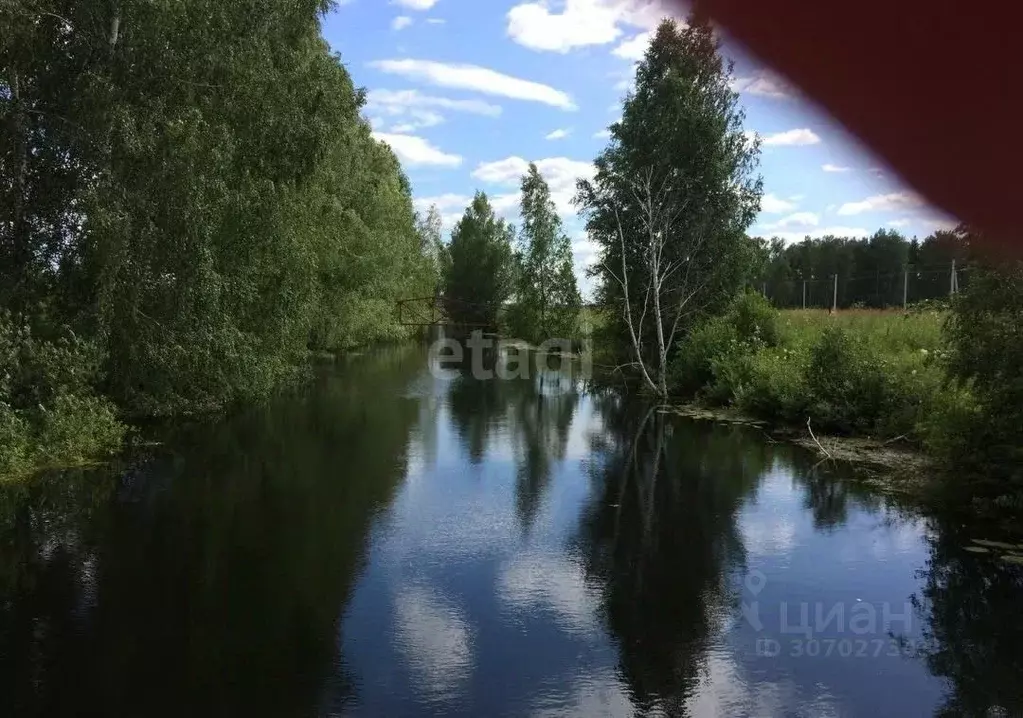 Участок в Новосибирская область, Новосибирский район, Кудряшовский ... - Фото 1