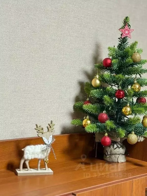 3-к кв. Псковская область, Псков Звездная ул., 21 (83.0 м) - Фото 1