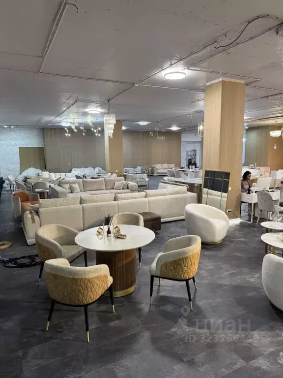 Помещение свободного назначения в Москва 1-й Смоленский пер., 17 (180 ... - Фото 1