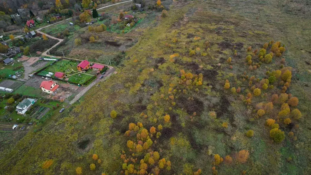 Участок в Ленинградская область, Ломоносовский район, Лопухинское ... - Фото 2