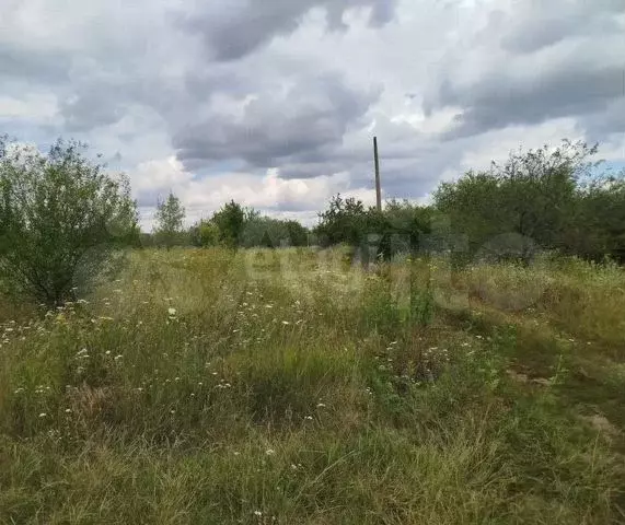 Участок 9 сот. (СНТ, ДНП) - Фото 0