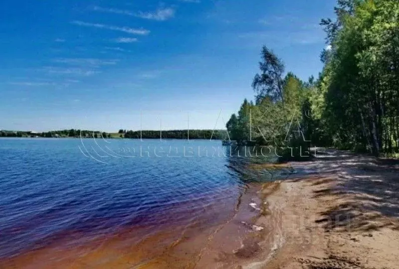 Участок в Ленинградская область, Выборгский район, Красносельское ... - Фото 2