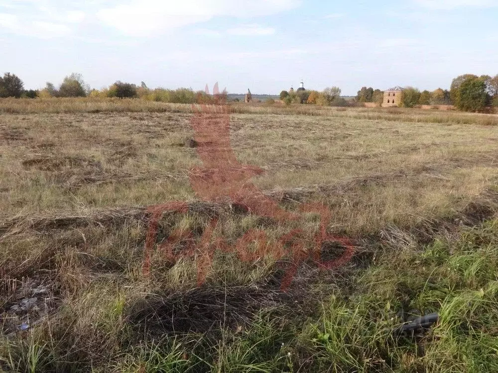Участок в Орловская область, Орловский район, с. Сабурово ул. ... - Фото 1