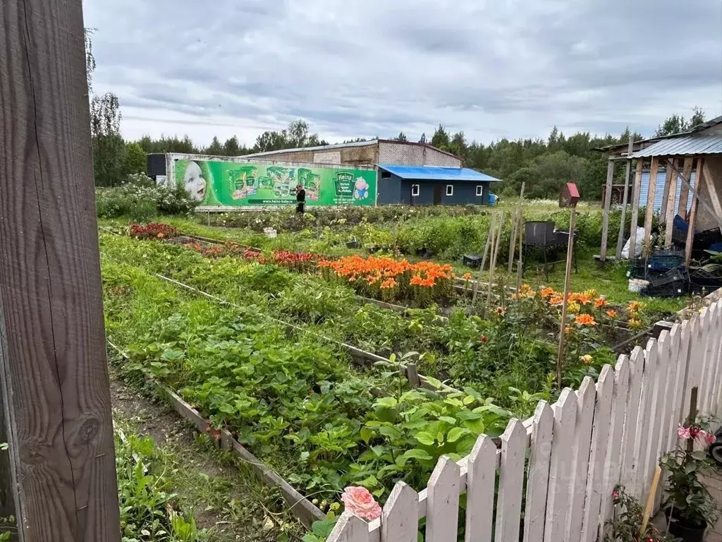 Склад в Псковская область, Гдов ул. Карла Маркса, 71 (800 м) - Фото 2