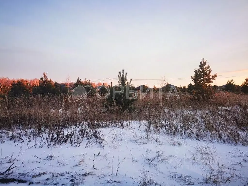 Участок в Тюменская область, Тюменский район, с. Перевалово ул. ... - Фото 2