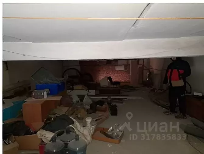 Помещение свободного назначения в Новосибирская область, Новосибирск ... - Фото 1
