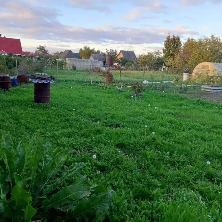 Участок в Ленинградская область, Гатчинский муниципальный округ, пос. ... - Фото 2