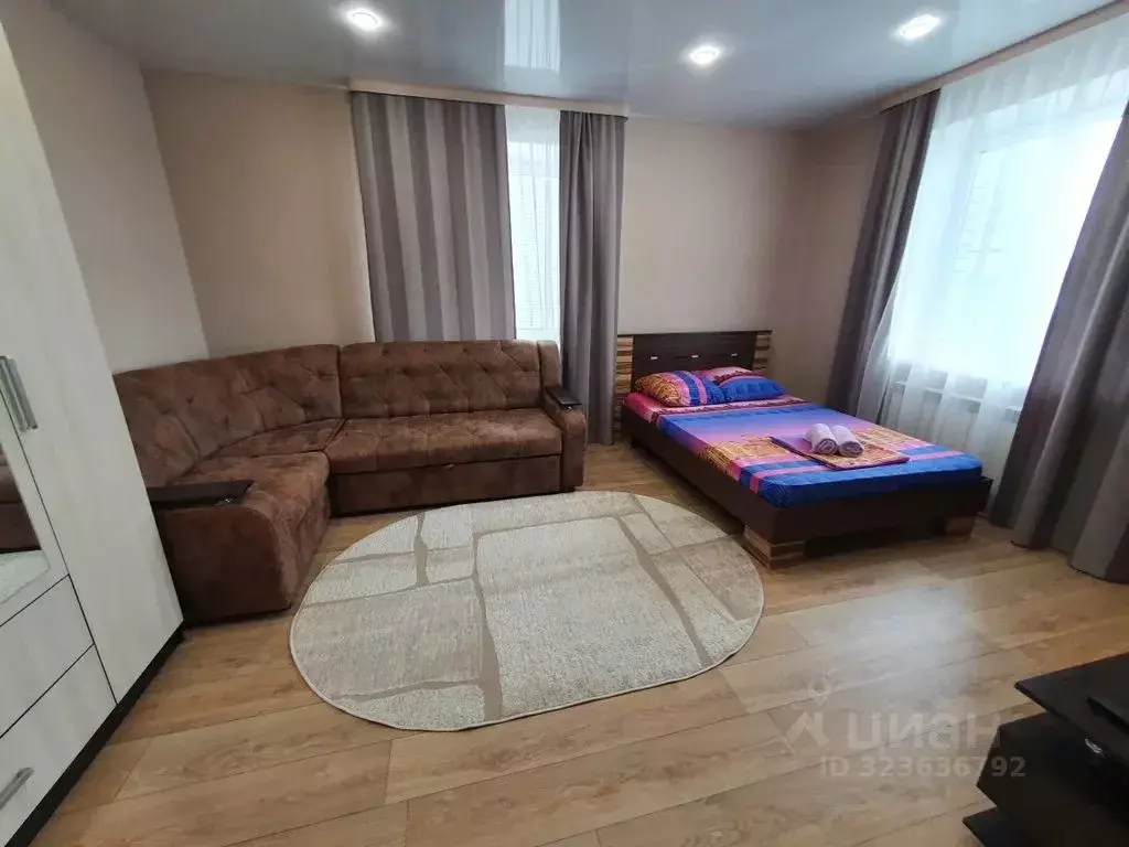 1-к кв. Алтайский край, Барнаул ул. Антона Петрова, 221Д (45.0 м) - Фото 1