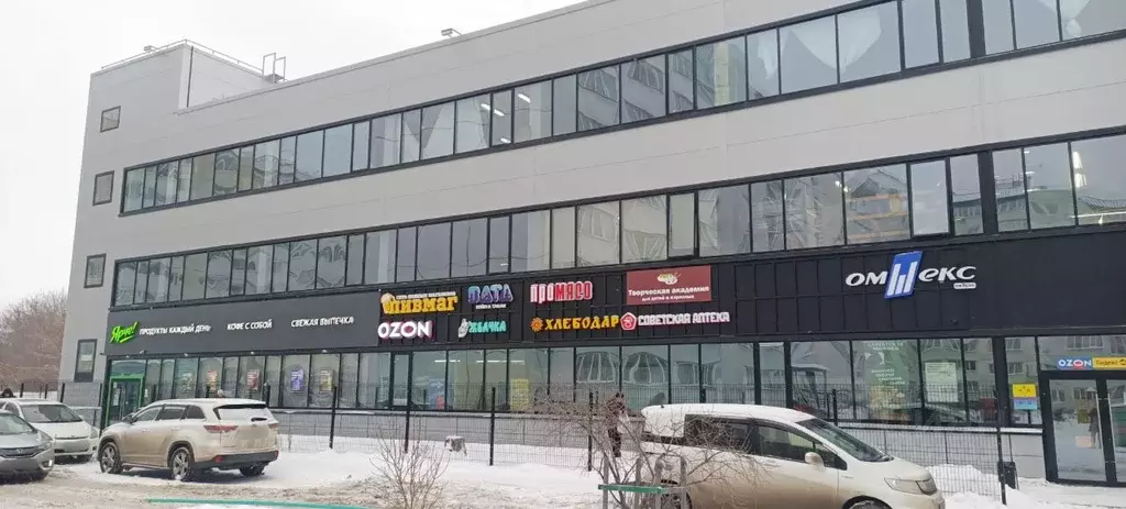 Торговая площадь в Омская область, Омск СибНИИСХоз мкр, ул. 1-я ... - Фото 0