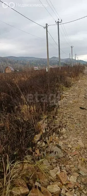 Участок в Майминский район, посёлок Филиал, улица А.Н. Муратова (10 м) - Фото 1