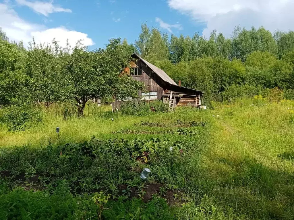 Дом в Удмуртия, Завьяловский район, Лиана СНТ 12 (35 м) - Фото 1